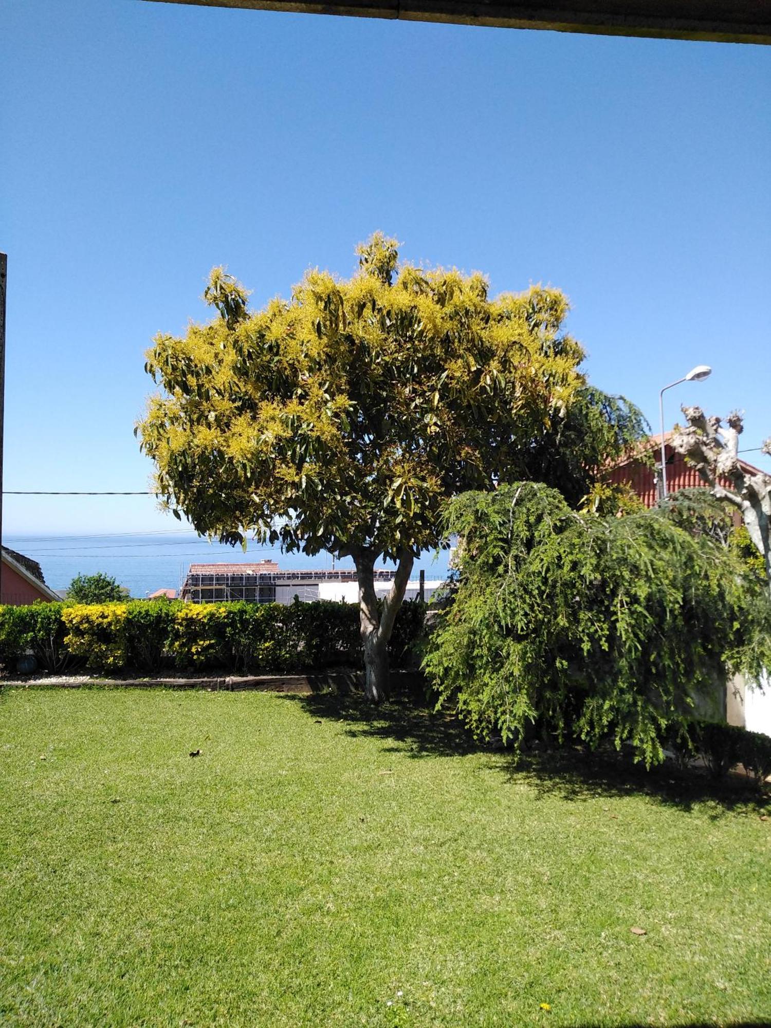 Allotjament en família Paradise In *